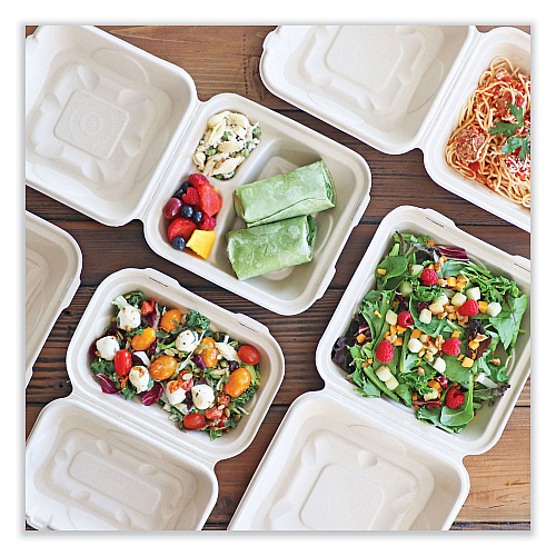 World Centric Fiber Hinged Containers, 3-Compartment, 9.3 x 9 x 3.3, Natural, Paper, 300/Carton (TOSCU9TLFP)