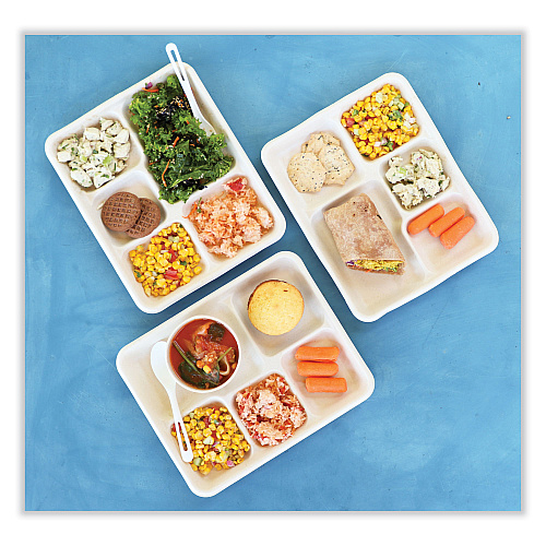 World Centric Fiber Trays, 5-Compartment, 8.5 x 10.24 x 1.01, Natural, Paper, 400/Carton (TRSC5CLFS)