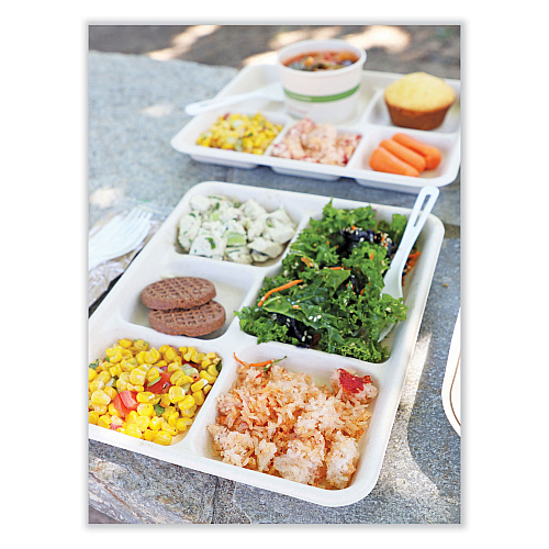 World Centric Fiber Trays, 5-Compartment, 8.5 x 10.24 x 1.01, Natural, Paper, 400/Carton (TRSC5CLFS)