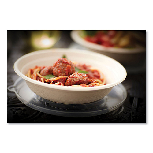 Pactiv EarthChoice Fiber-Blend Bagasse Dinnerware, Bowl, 24 oz, Natural, 400/Carton (YMC508BWL24P)