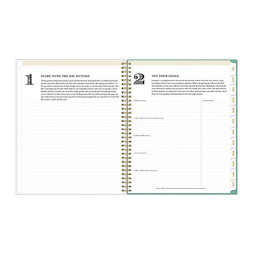 Blue Sky Day Designer Academic Year Weekly/Monthly Frosted Planner, Palms Artwork, 11 x 8.5, 12-Month (July to June): 2025 to 2026 (137891)