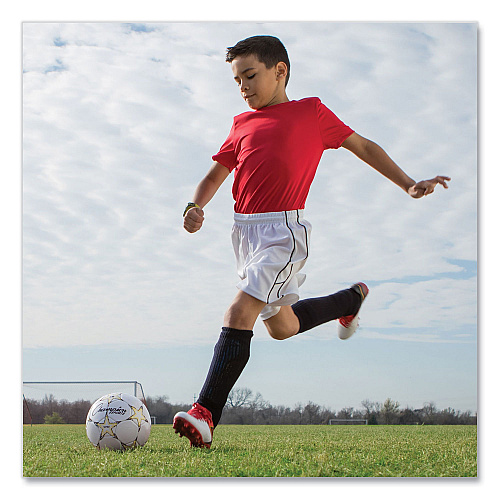 Champion Sports VIPER Soccer Ball, No. 3 Size, 7.25" to 7.5" Diameter, White (VIPER3)