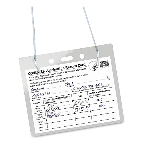 Avery Secure Top Hanging-Style Badge Holders, Horizontal, 4w x 3h, Clear, 100/Box (2922)