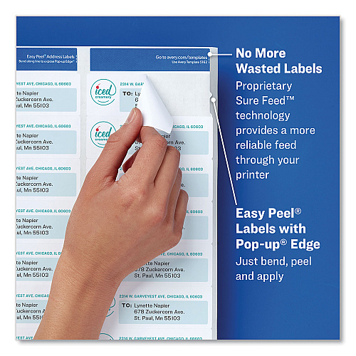 Avery Glossy Clear Easy Peel Mailing Labels w/ Sure Feed Technology, Inkjet/Laser Printers, 0.66 x 1.75, 60/Sheet, 10 Sheets/PK (6520)