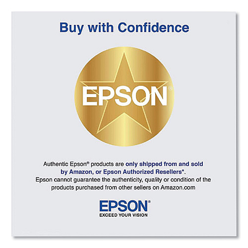 Epson Bright White Pro Paper, 96 Bright, 24 lb Bond Weight, 8.5 x 11, White, 500/Pack (S041586)