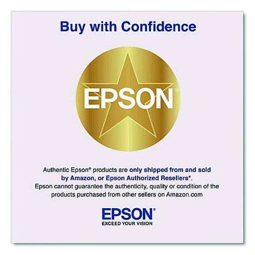 Epson Standard Proofing Paper Roll, 9 mil, 17" x 100 ft, Semi-Matte White (S045111)