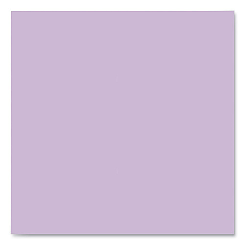 Roaring Spring EnviroShades Steno Pad, Gregg Rule, White Cover, 80 Orchid 6 x 9 Sheets, 24 Pads/Carton (12264CS)