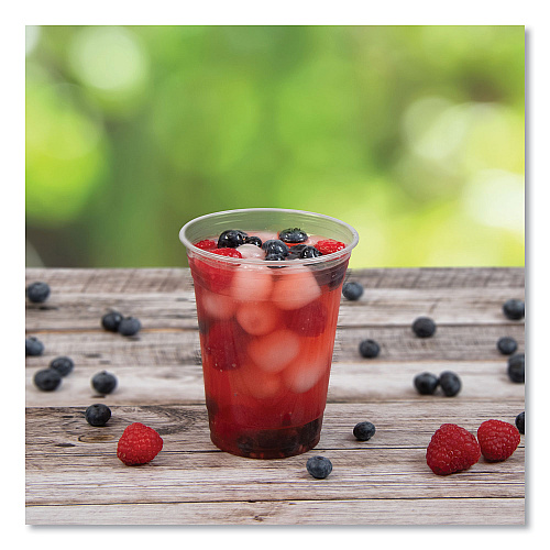 Dart Conex ClearPro Plastic Cold Cups, Plastic, 16 oz, Clear, 50/Pack, 20 Packs/Carton (16PX)