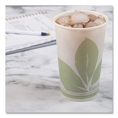 SOLO Bare Eco-Forward Paper Cold Cups, ProPlanet Seal, 16 oz, Green/White, 100/Sleeve 10 Sleeves/Carton (RW16BBD110CT)