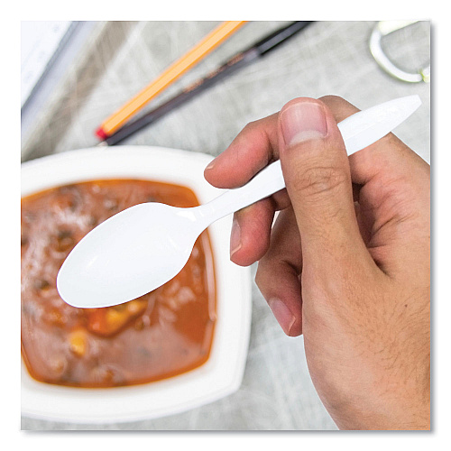 SOLO Regal Mediumweight Cutlery, Full-Size, Teaspoon, White, 1000/Carton (S6SW)