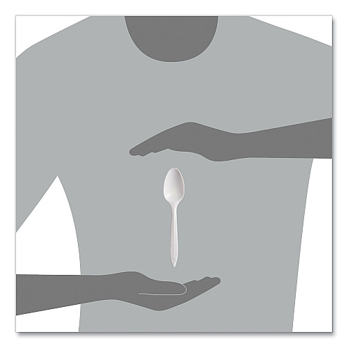 SOLO Regal Mediumweight Cutlery, Full-Size, Teaspoon, White, 1000/Carton (S6SW)