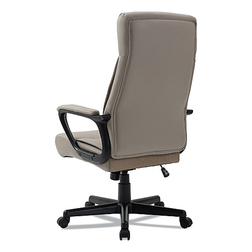 Alera Oxnam Series High-Back Task Chair, Supports Up to 275 lbs, 17.56" to 21.38" Seat Height, Tan Seat/Back, Black Base (ALEON41B59)