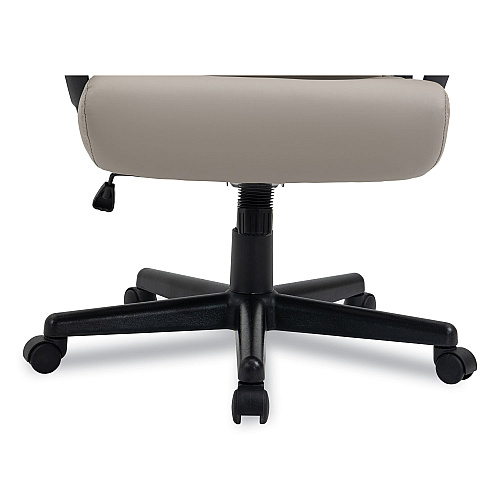 Alera Oxnam Series High-Back Task Chair, Supports Up to 275 lbs, 17.56" to 21.38" Seat Height, Tan Seat/Back, Black Base (ALEON41B59)