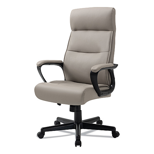 Alera Oxnam Series High-Back Task Chair, Supports Up to 275 lbs, 17.56" to 21.38" Seat Height, Tan Seat/Back, Black Base (ALEON41B59)
