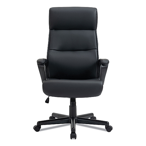 Alera Oxnam Series High-Back Task Chair, Supports Up to 275 lbs, 17.56" to 21.38" Seat Height, Black Seat/Back, Black Base (ALEON41B19)