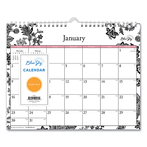 Blue Sky Analeis Wall Calendar, Floral Artwork, 11 x 8.75, White/Black/Coral Sheets, 12-Month (Jan to Dec): 2026 (100028)