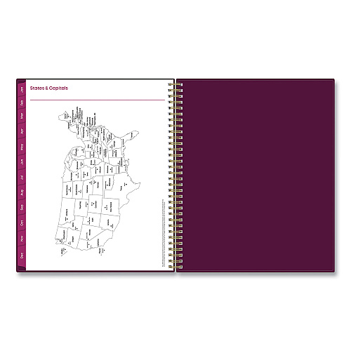 Blue Sky Gili Weekly/Monthly Planner, Jewel Tone Artwork, 11 x 8.5, Plum Cover, 12-Month (Jan to Dec): 2026 (117889)