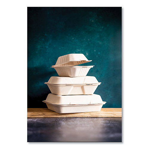 Vegware Nourish Molded Fiber Takeout Containers, Compostable, 3-Compartment, 7.9 x 7.9 x 2.9, White, Sugarcane, 200/Carton (WH83HW)