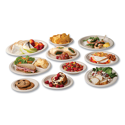Vegware Nourish Molded Fiber Tableware, Compostable, Platter, 8 x 10, White, 500/Carton (WH710)