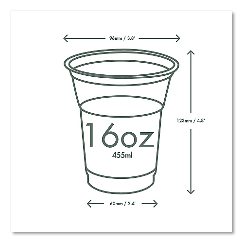 Vegware 96-Series Cold Cup, Compostable, 16 oz, Clear/Green, 1,000/Carton (R500YG)