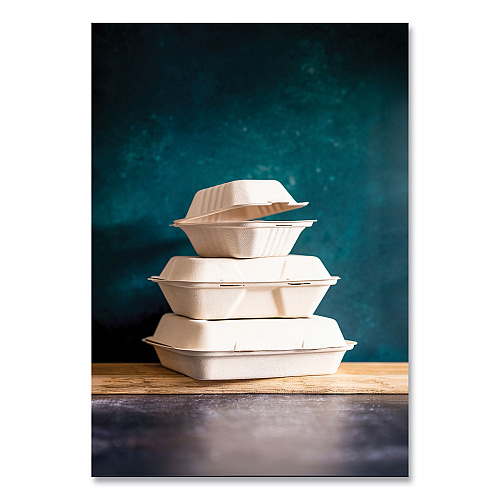 Vegware Nourish Molded Fiber Takeout Containers, Compostable, 9 x 9 x 3, White, Sugarcane, 200/Carton (WH9HW)