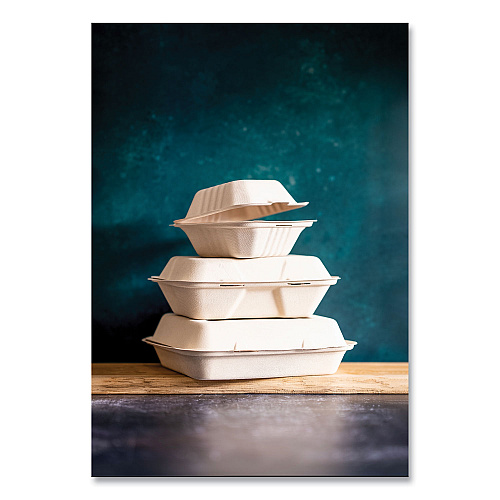 Vegware Nourish Molded Fiber Takeout Containers, Compostable, 7.9 x 7.9 x 2.9, White, Sugarcane, 200/Carton (WH8HW)