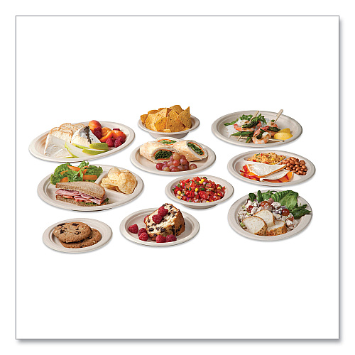 Vegware Nourish Molded Fiber Tableware, Compostable, Plate, 10" dia, White, 500/Carton (WH10)
