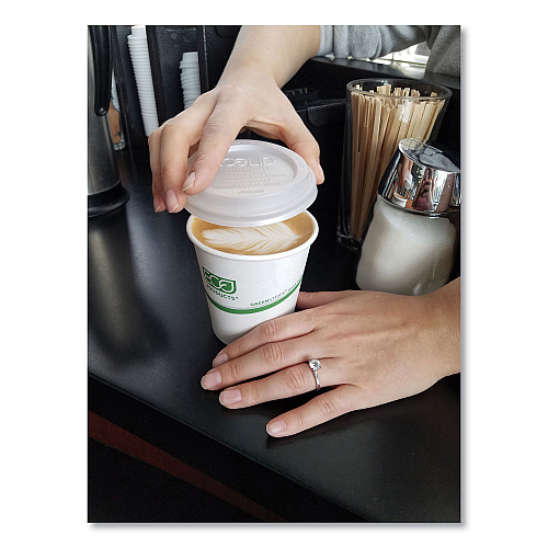 Eco-Products GreenStripe Renewable and Compostable Hot Cups, 12 oz, 50/Pack, 20 Packs/Carton (EPBHC12GS)