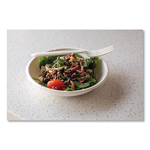 Eco-Products Vanguard Renewable and Compostable Sugarcane Bowls, 12 oz, White, 1,000/Carton (EPBL12NFA)