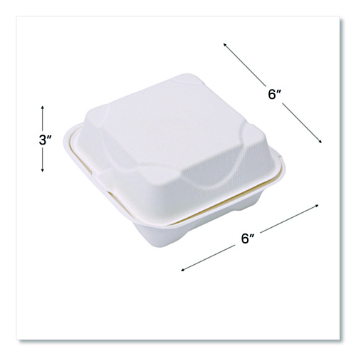 Eco-Products GreenStripe Cold Cup Flat Lids, Fits 9 oz to 24 oz Cups, Clear, 100/Pack, 10 Packs/Carton (EPFLCC)