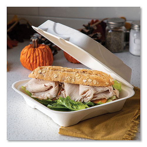 Eco-Products Bagasse Hinged Clamshell Containers, 9 x 9 x 3, White, Sugarcane, 50/Pack, 4 Packs/Carton (EPHC91)