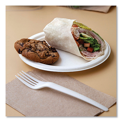 Eco-Products Vanguard Renewable and Compostable Sugarcane Plates, 9" dia, White, 500/Carton (EPP013NFA)
