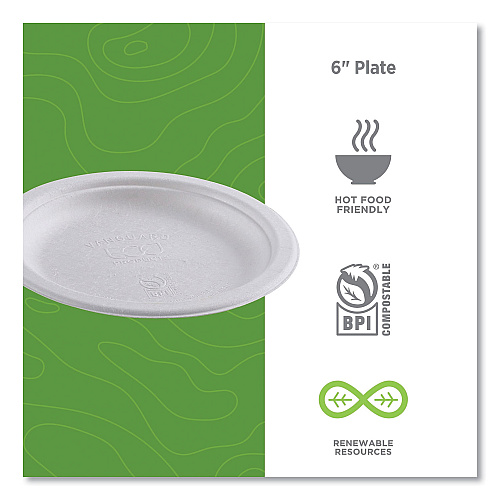 Eco-Products Vanguard Renewable and Compostable Sugarcane Plates, 6" dia, White, 1,000/Carton (EPP016NFA)