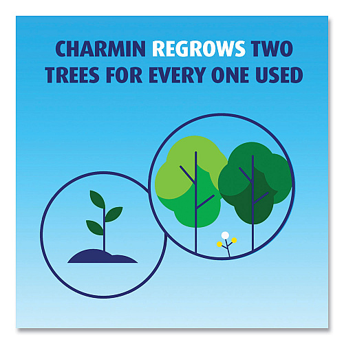 Charmin&reg; Ultra Soft Standard Toilet Paper, 2-Ply, 224 Sheets, 4 Rolls (08806PK)