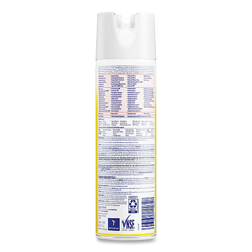 Lysol&reg; Pro Original Disinfectant Spray, 19 oz. Aerosol Can (04650EA)