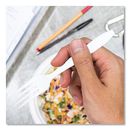 SOLO Impress Heavyweight Full-Length Polystyrene Cutlery, Fork, White, 100/Box, 10 Boxes/Carton (HSWFX0007)