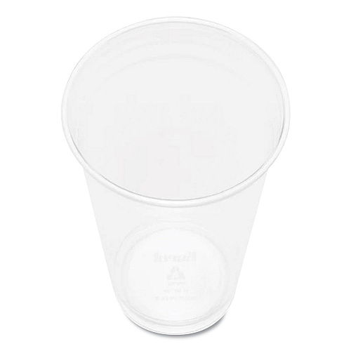 Karat PET Plastic Cups, 32 oz, Clear, 300/Carton (CKC32)