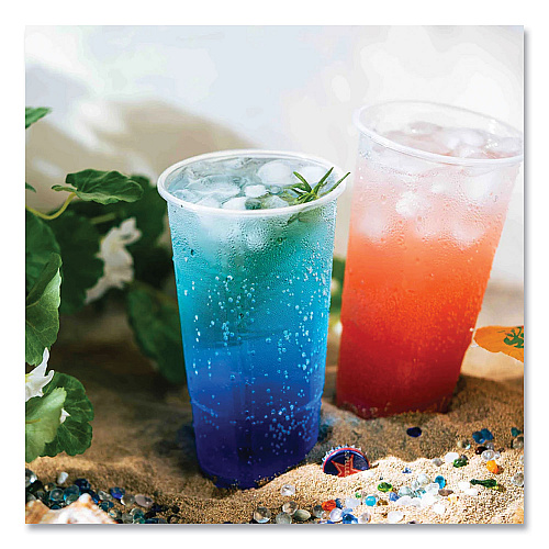 Karat PolyPro (PP) Cups, 32 oz, Translucent, 600/Carton (CKPP32)