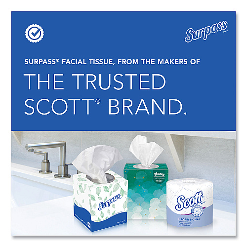 Surpass Facial Tissue for Business, 2-Ply, White,125 Sheets/Box, 60 Boxes/Carton (21390)