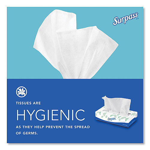 Surpass Facial Tissue for Business, 2-Ply, White,125 Sheets/Box, 60 Boxes/Carton (21390)