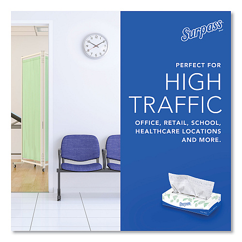 Surpass Facial Tissue for Business, 2-Ply, White,125 Sheets/Box, 60 Boxes/Carton (21390)