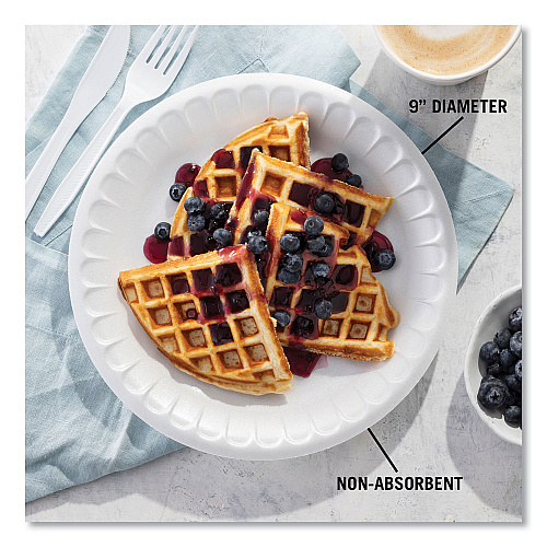 Pactiv Placesetter Satin Non-Laminated Foam Dinnerware, Plate, 9" dia, White, 500/Carton (0TH10009)