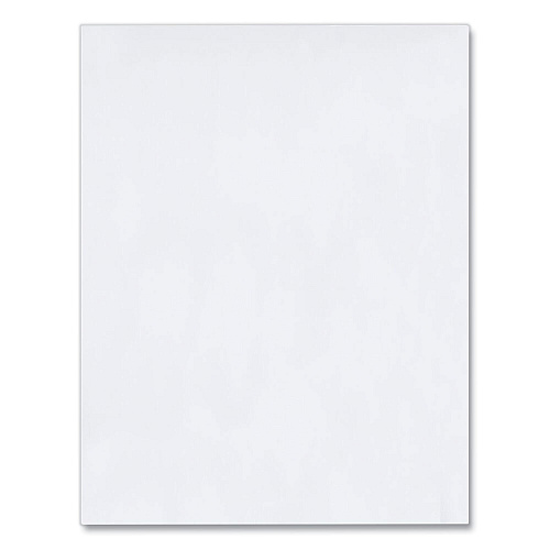 Quality Park Redi-Strip Catalog Envelope, #13 1/2, Cheese Blade Flap, Redi-Strip Adhesive Closure, 10 x 13, White, 100/Box (44782)