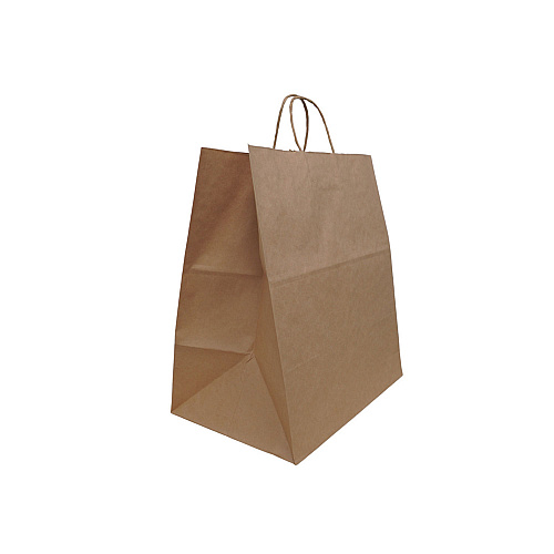 Solupac Take Out Twist Handle Bag, Natural Twisted-Paper Handles, 12" x 9" x 15.75", Natural, 200/Carton (TKNTAOUDE)