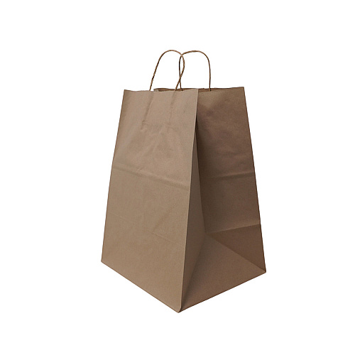 Solupac Take Out Twist Handle Bag, Natural Twisted-Paper Handles, 12" x 9" x 15.75", Natural, 200/Carton (TKNTAOUDE)