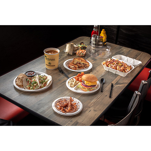 Pactiv EarthChoice PFAS Free Compostable Dinnerware, Plate, 9" dia, Natural, 500/Carton (YMC50009PFFR)