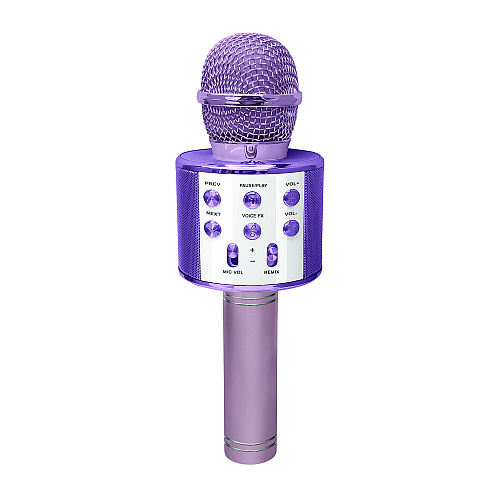Crayola Karaoke Wireless Microphone, Pink (CKM150P)