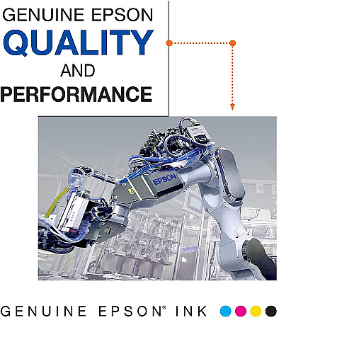 Epson T54V300 (T54V) UltraChrome HD Ink, Vivid Magenta
