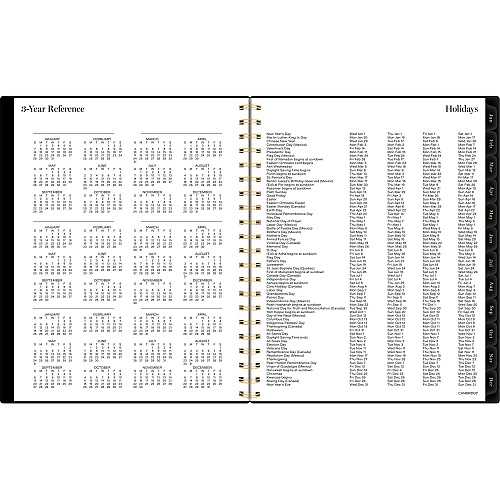 Cambridge Radiate Weekly/Monthly Planner, Stylized Solar-Eclipse Artwork, 11 x 9.25, Black/Gold Cover, 12-Month (Jan to Dec): 2025 (1725905)