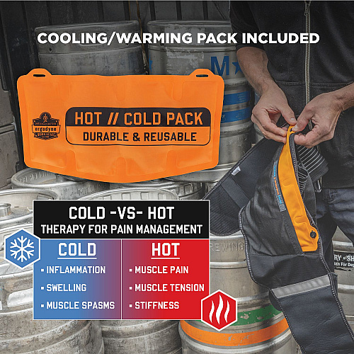 ergodyne Proflex 1675 Back Support Brace with Cooling/Warming Pack, 3X-Large, 46" to 52" Waist, Black (11125)